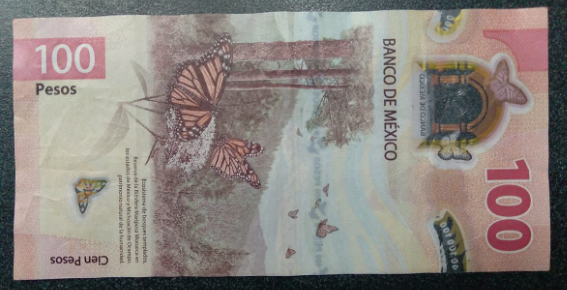 USED picture of the Back of a $100.00 MXN Bill, Circa 2022.